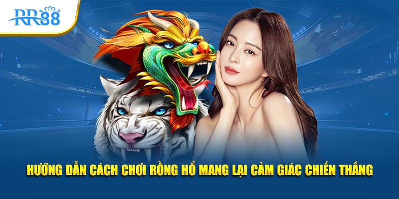 Hướng dẫn cách chơi Rồng Hổ mang lại cảm giác chiến thắng